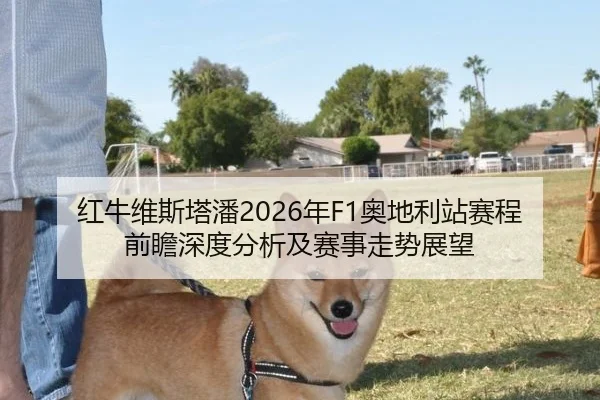 红牛维斯塔潘2026年F1奥地利站赛程前瞻深度分析及赛事走势展望